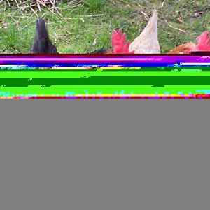 Camera quadrupla